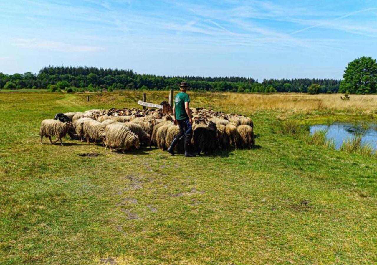 Mini Camping Drentse Monden Nieuw-Weerdinge Luaran gambar